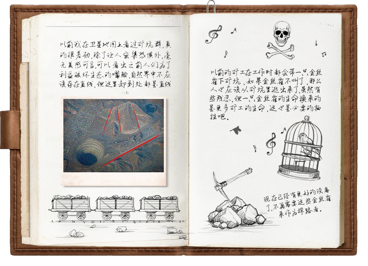 金丝雀挽歌