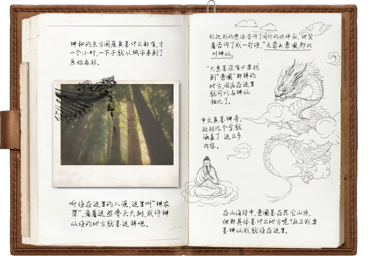 悬圃森林